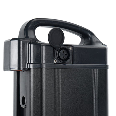 48V 1124Wh Battery for EMOVE Roadrunner V3